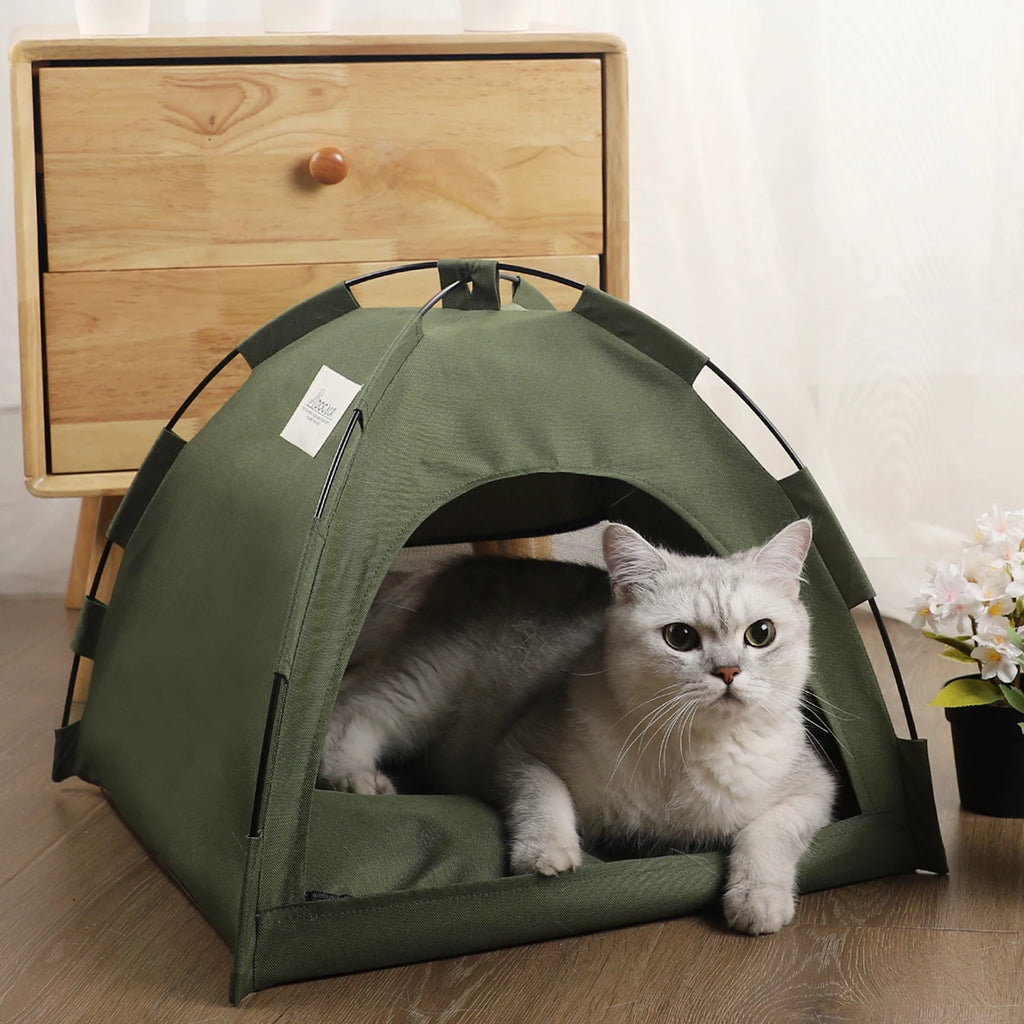 Tenda para gatinhos