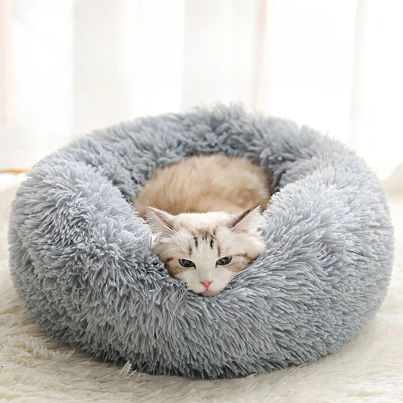 Gato deitado em cama donut de pelúcia