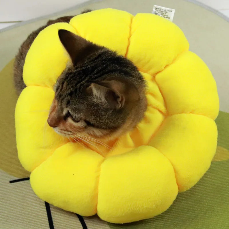 Colar Elizabetano confortável em formato de girassol para gato pós-operatório