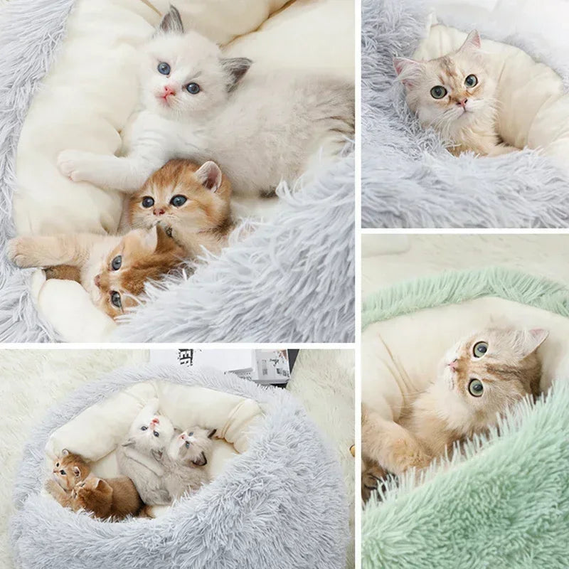 Cama para Gatos 2 em 1