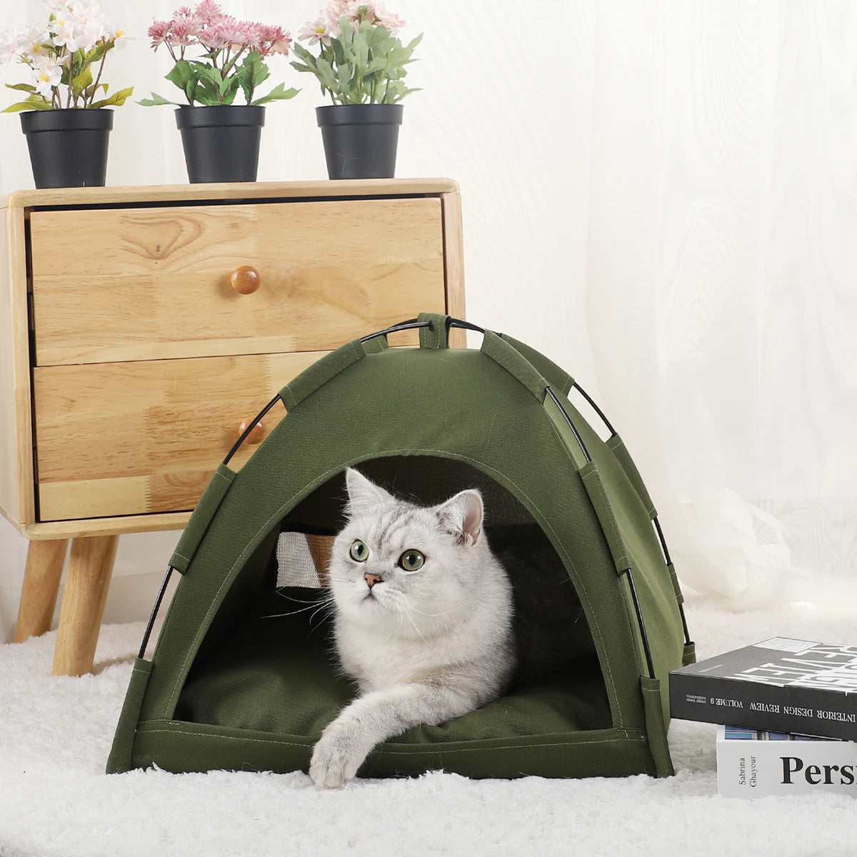tenda para gato pequeno
