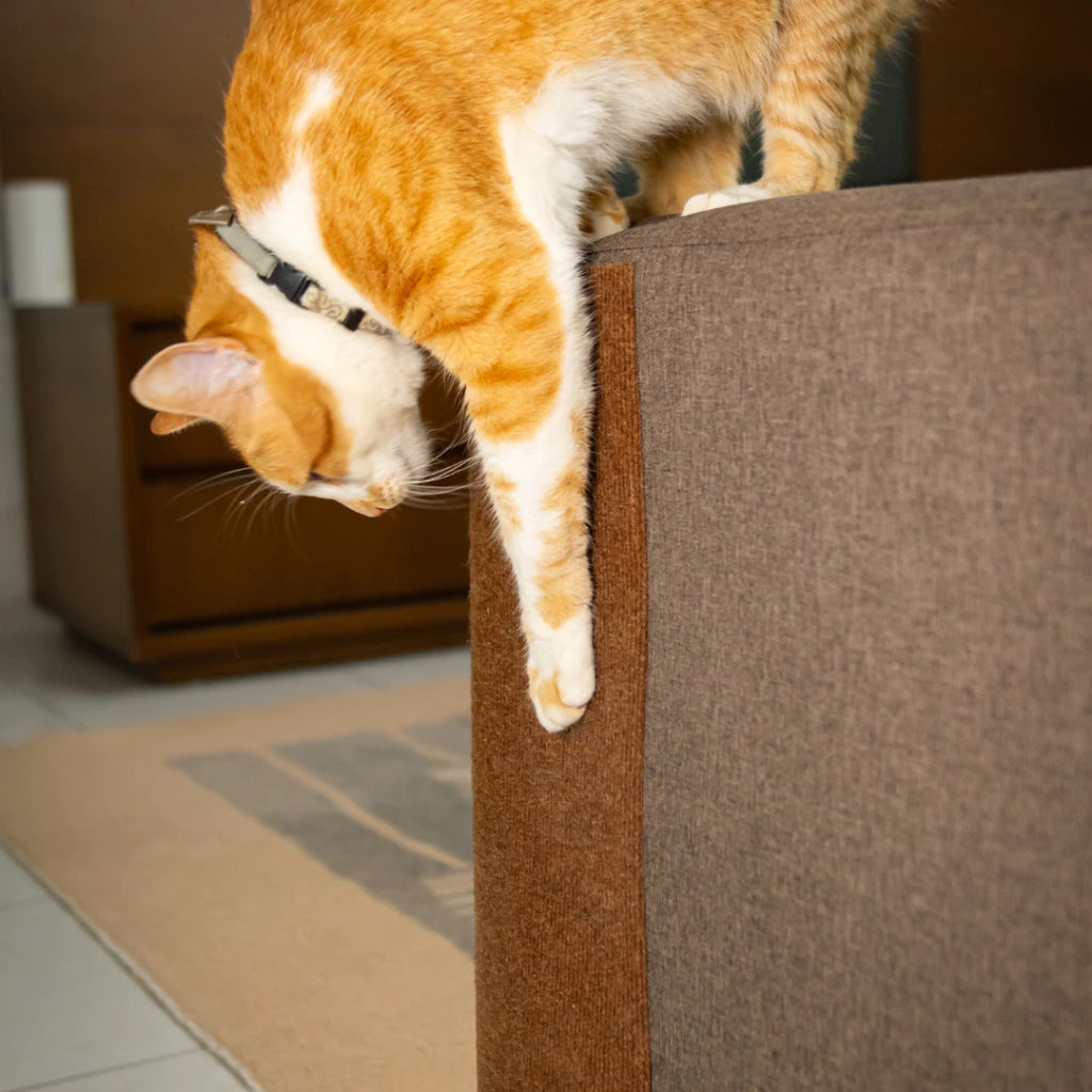 arranhador adesivo para gatos sofá