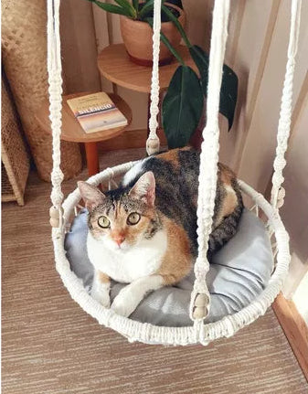 gato em cama suspensa para gatos