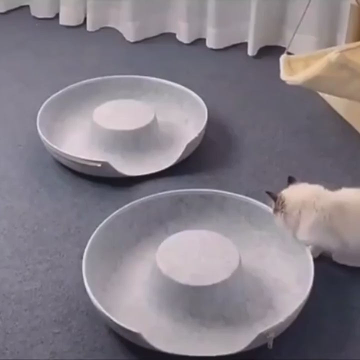 Gatinhos brincando na cama toca para gatos