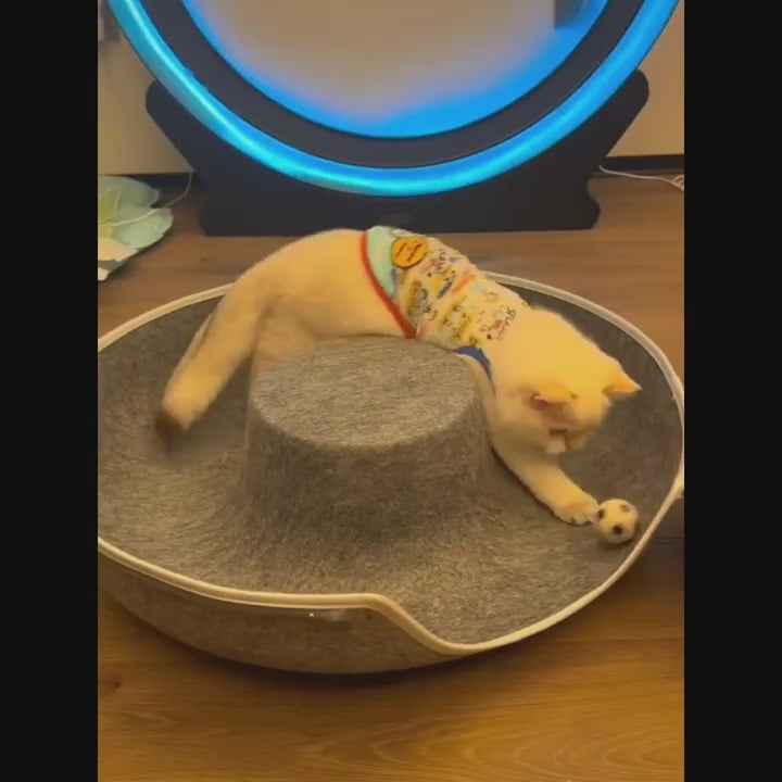 cama toca para gatos